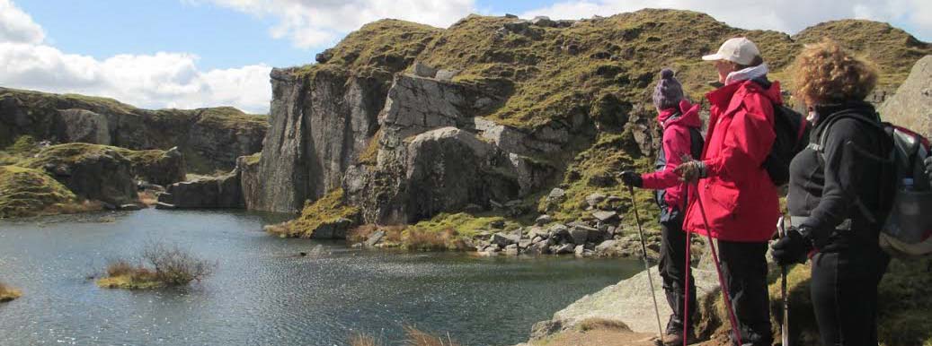 Stacks Image 9